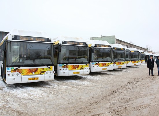 В Волжском запускают автобусный маршрут до городского пляжа