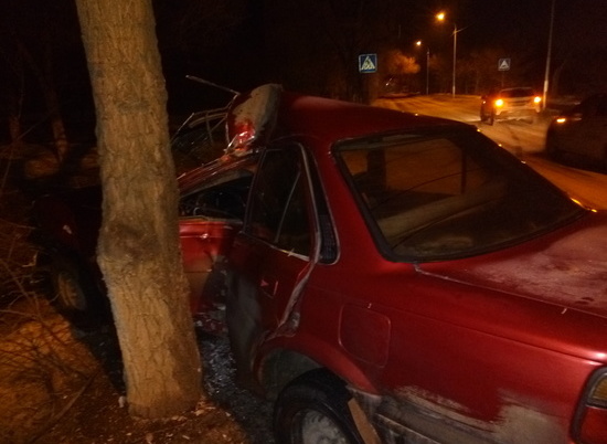 В Волгограде красная иномарка протаранила дерево