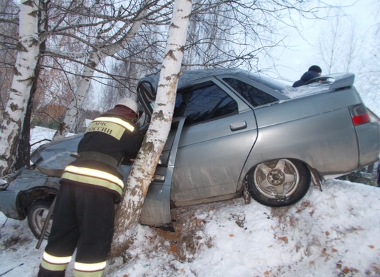 В Волгоградской области 38-летний водитель скончался при наезде на дерево
