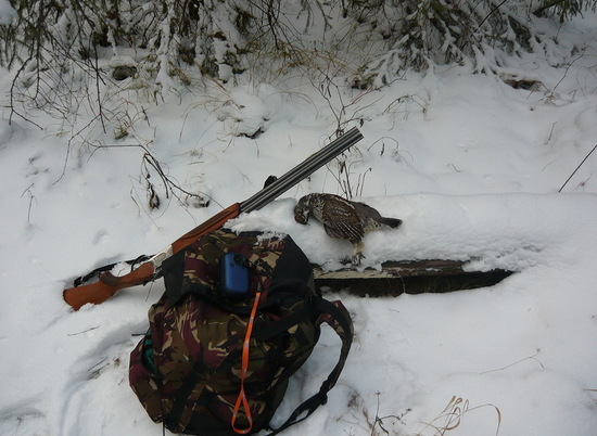 В Волгоградской области охотника без билета и разрешения оштрафовали