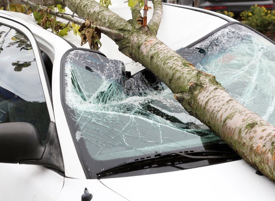 Волгоградские автомобилисты стали жертвами урагана