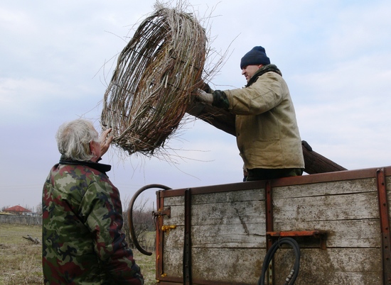 Белым аистам в Волгоградской области делают искусственные гнезда