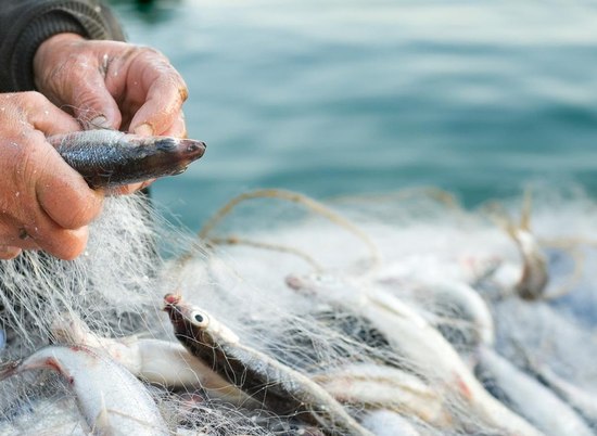 30-летние браконьеры ловили рыбу в Волгоградской области на 110-метровую сеть
