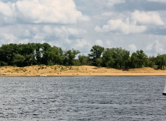 К середине лета на острове Сарпинском в Волгограде ликвидируют свалки