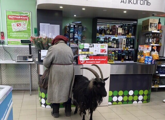 Волжанка пришла в магазин за хлебом вместе с козлом