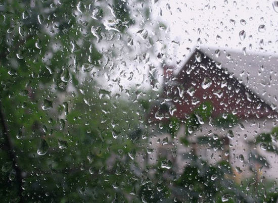 Будет мокро: на Волгоград надвигаются дожди и грозы