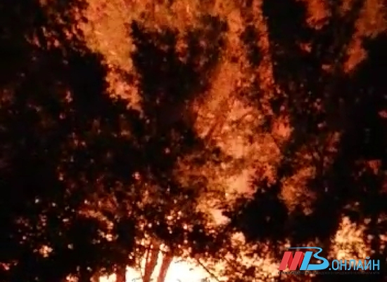 Названа одна из версий крупного пожара в Краснооктябрьском районе Волгограда