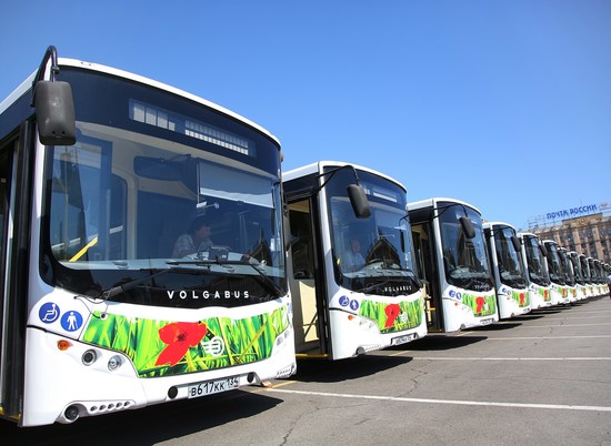 В Волгограде, Урюпинске и Камышине вводятся допрейсы дачных автобусов