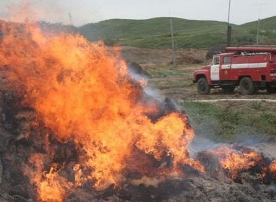 В Волгоградской области за воскресенье сгорело 15 тонн сена