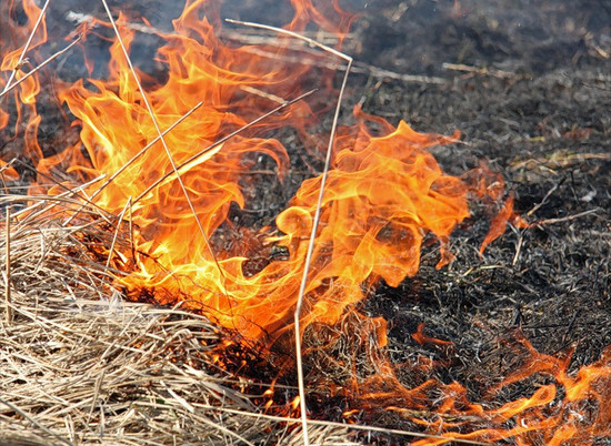 В Волгоградской области за сутки произошло 60 пожаров