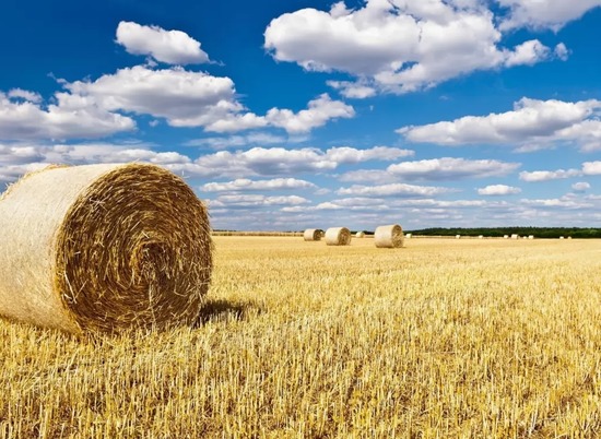 Интернет-провайдер выплатил фермеру 430 тыс. рублей за снижение урожая
