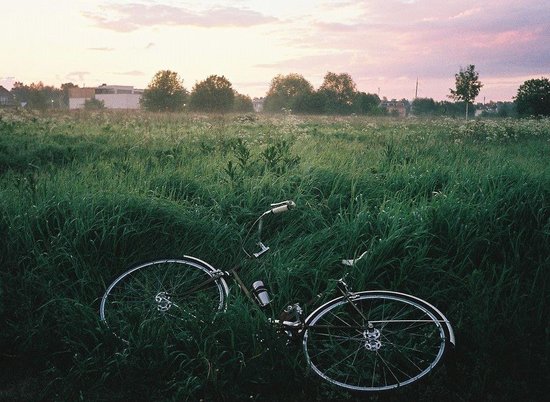 В Волгоградской области водитель ВАЗа задавил пенсионера-велосипедиста