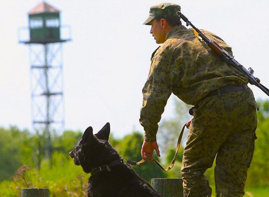 В Волгоградской области выявлено 340 нарушителей границы