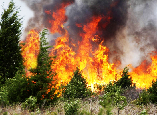 В Волгоградской области сохраняется высокий уровень пожароопасности