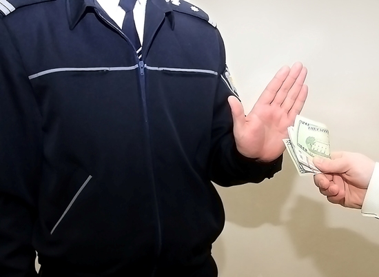 Волгоградский предприниматель выплатит полмиллиона за взятку полиции