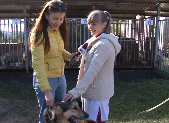 Журналисты МТВ и общественники оценили условия жизни собак в "Горпитомнике"