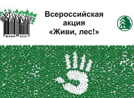 В Волгоградской области проходит Всероссийская акция "Живи, лес!"