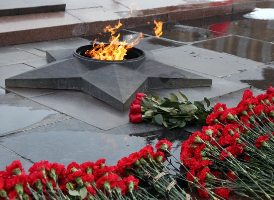 ЮВО: Бросавшие шелуху в Вечный огонь в Волгограде не были военными