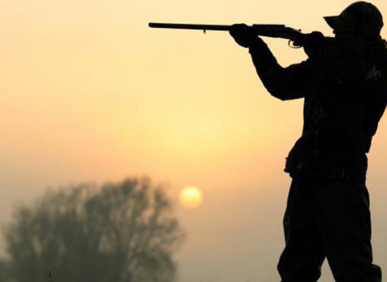 Волгоградские охотники получат разрешение на добычу пушной дичи
