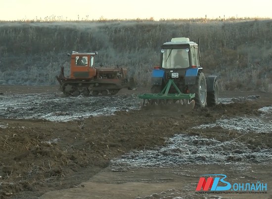 В Среднеахтубинском районе на месте свалки высадят дубовую рощу
