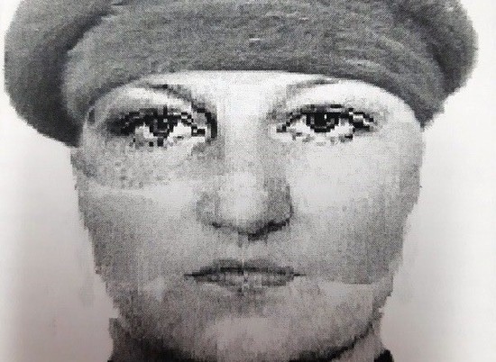 В Волгограде разыскивают женщину-мошенницу