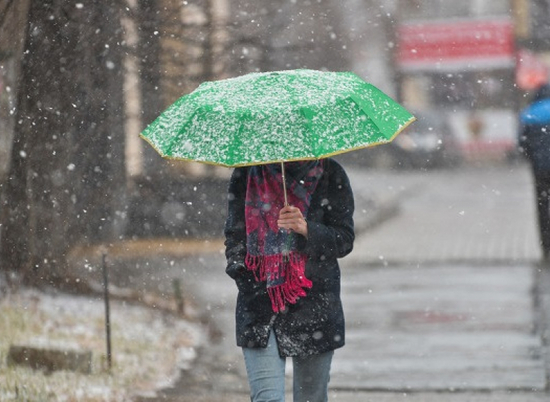 Первый день зимы в Волгограде начнется с дождя со снегом