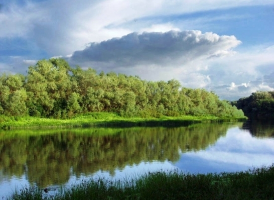 Три озера в Волго-Ахтубинской пойме прошли экологическую реабилитацию