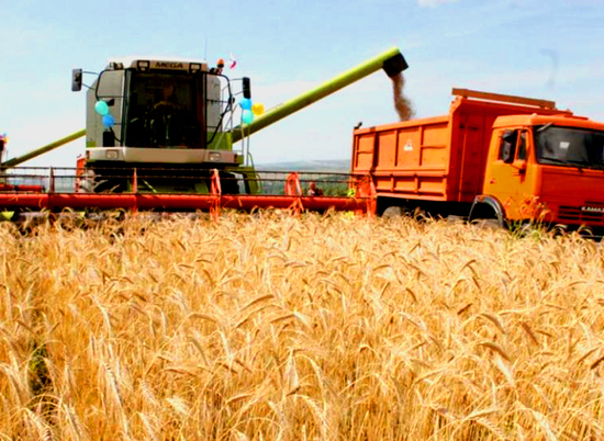 Волгоградский регион вышел в лидеры по урожаю зерна
