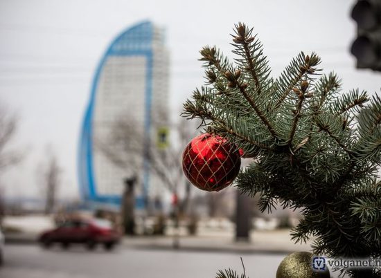 В Волгограде в пойме Царицы устанавливают главную новогоднюю  елку