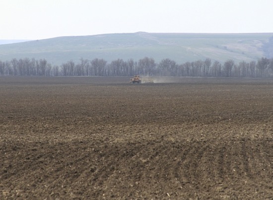 Волгоградские сельхозпроизводители взяли льготных кредитов на сумму 7,3 млрд рублей