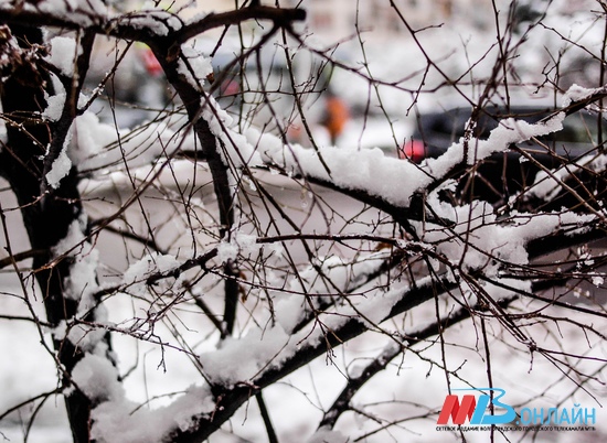 На рождество в Волгограде может выпасть снег