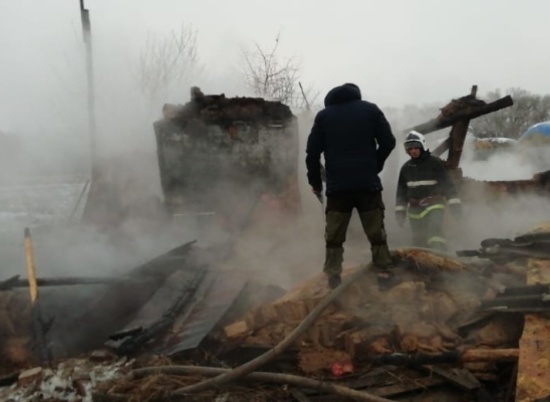 За 5 дней 2020 года в Волгоградской области в огне погибло 7 человек