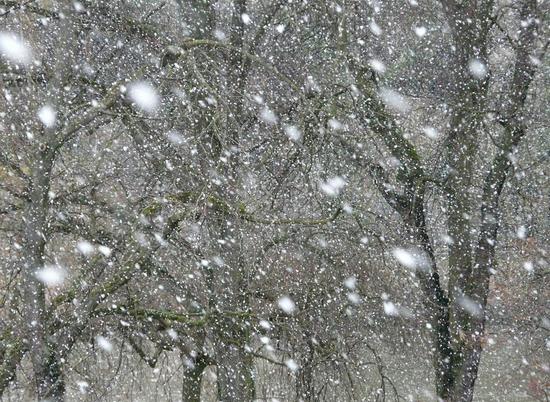 Синоптики обещают: в Волгограде пойдет снег