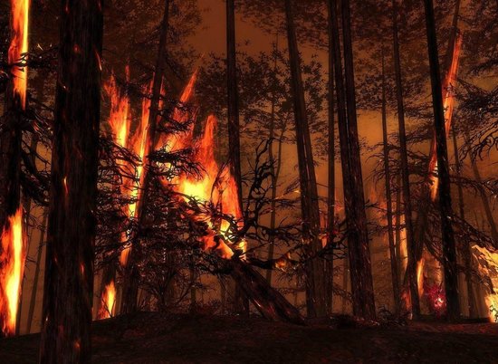 Пожароопасный сезон начнется в Волгоградской области 1 апреля