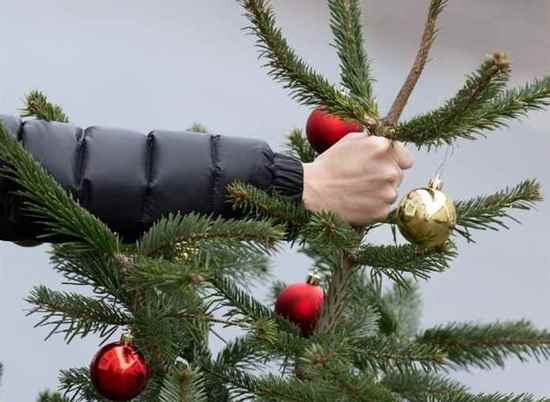 Волгоградцы прощаются с Новым годом и разбирают елки