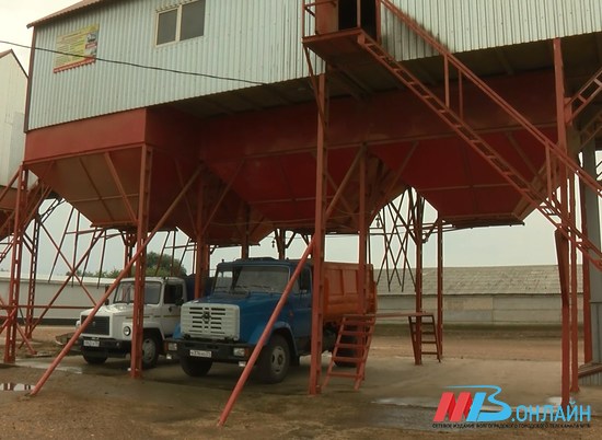 Экспорт зерна в Волгоградской области за шесть лет вырос втрое