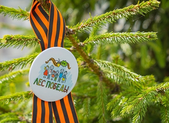 В память о фронтовиках в лесничествах Волгоградской области высадят 400 тысяч деревьев