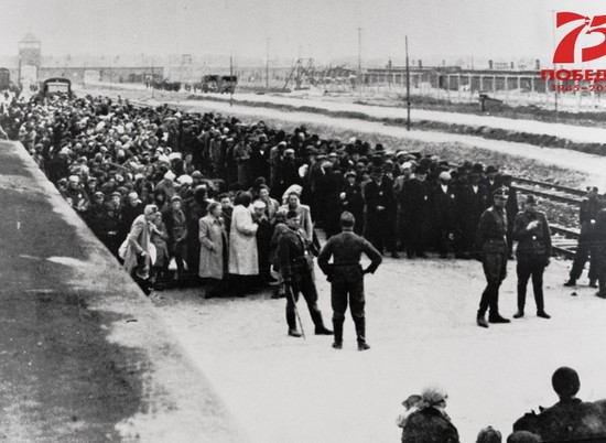 В Волгограде откроется выставка о женщинах — заключенных Освенцима