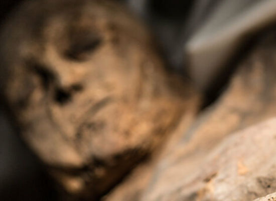 В Камышине узнали, кому принадлежало мумифицированное тело из подвала