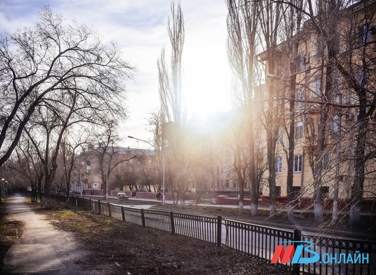 Температура воздуха в Волгоградской области поднимется до +18º