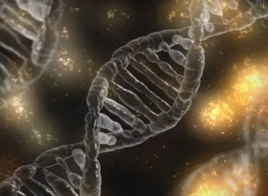 Ученые связали наличие Y-хромосомы с меньшей продолжительностью жизни