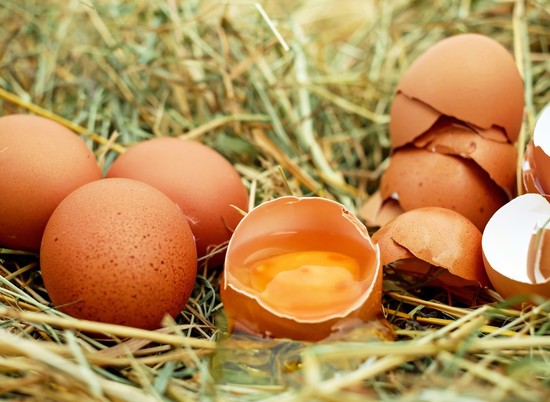 Гарвардские ученые рассказали, сколько яиц нужно употреблять в день.