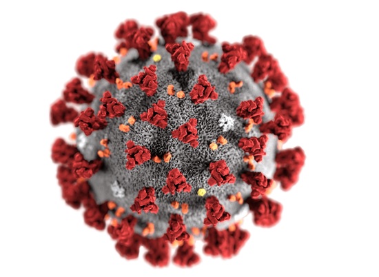 Минздрав завел страницу с самой актуальной информацией по коронавирусу