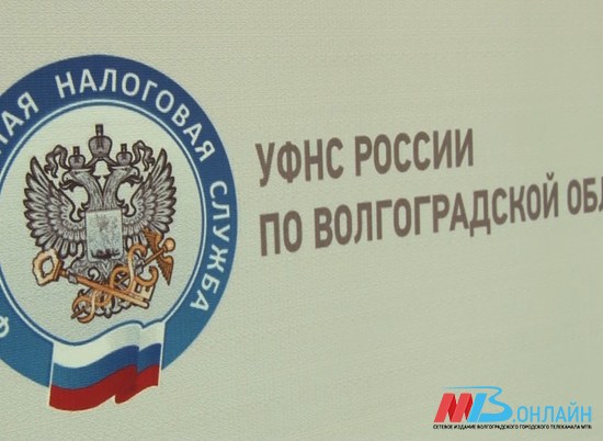 Налоговая служба в Волгоградской области будет работать дистанционно