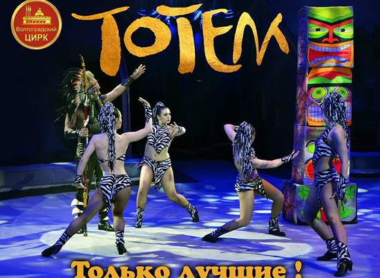 Волгоградок приглашают работать в балете циркового шоу "Тотем"
