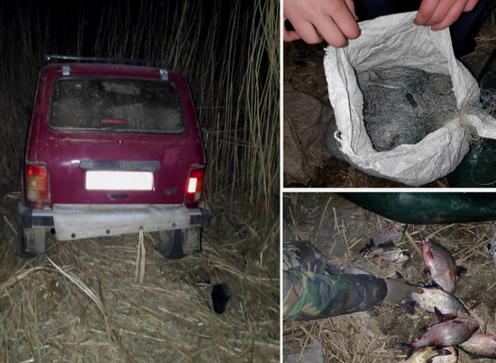 За минувшие сутки задержали трех браконьеров в Волгоградской области