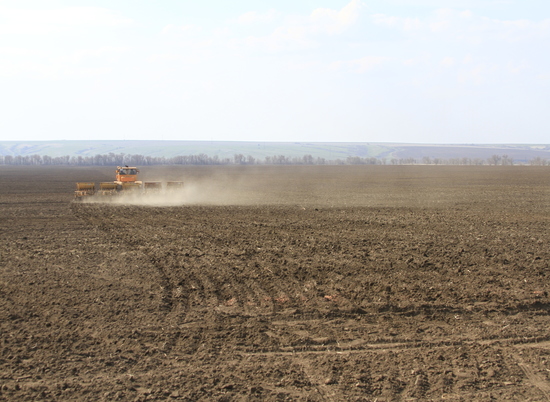 В Волгоградской области посеяны первые 50 тысяч гектаров яровых