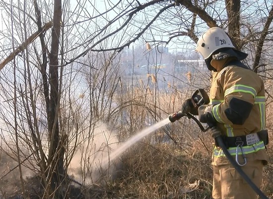 Пожарные ликвидировали возгорание на севере Волгограда