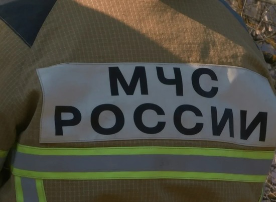 За ночь в Волгоградской области сгорели два автомобиля