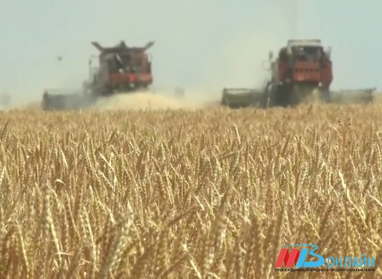 Волгоградская область запасла 327 тысяч тонн зерна
